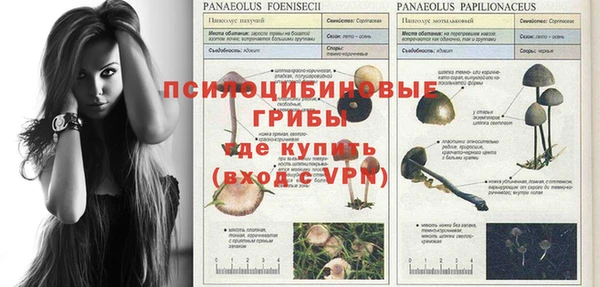 а пвп мука Армянск