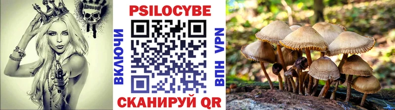 закладки Полярный MEGA Галлюциногенные грибы ЛСД